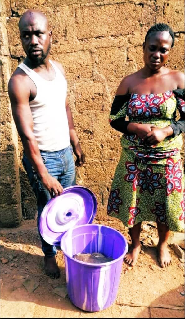 14969707_20220212190430_jpegb61933ff1bc7c8ce6f483383759ac3e0