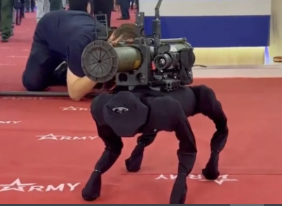 Robot-dog