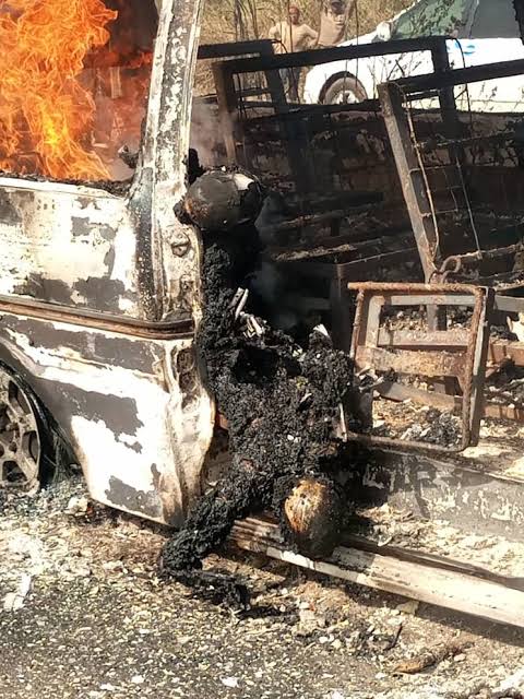 16651968_images44_jpeg_jpeg1b83d9c9431983f4d7bcb9a634bc66d3