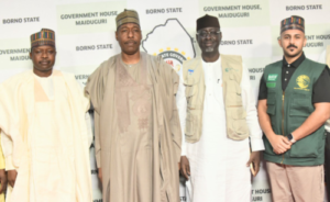 Screenshot_20221206-232200-500x306