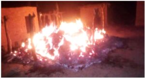 Screenshot_2023-01-13-18-48-36-23