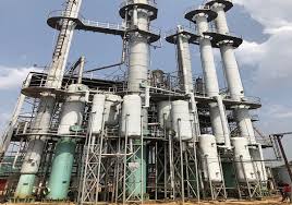 images (1) - 2023-05-02T201213.607