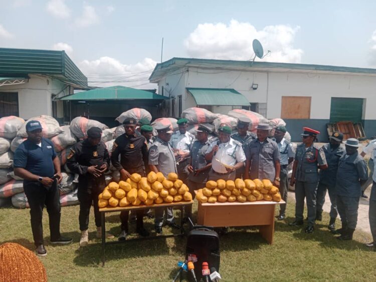 WhatsApp-Image-2024-03-04-at-17.32.37-750x563 (1)