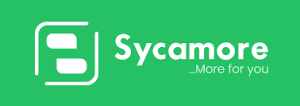 Sycamore fintech