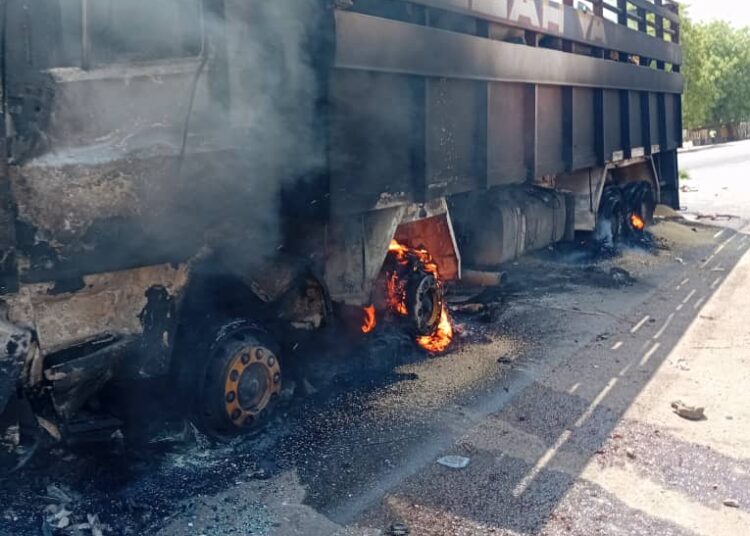 WhatsApp-Image-2025-04-21-at-16.17.38-1-750x536