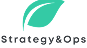 StrategyOps-Consultancy