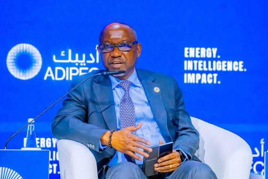 Minister of State for Petroleum Resources (Gas), Ekperikpe Ekpo (2)