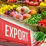 Nigeria’s agricultural imports fall 8.5% to N2.03trn as farm exports strengthen