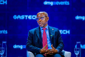 Minister of State for Petroleum Resources (Gas), Ekperikpe Ekpo, (2)